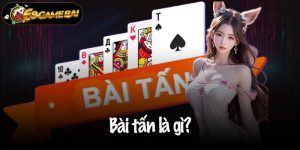 bài tấn là gì