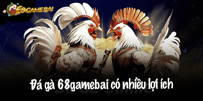 Tham gia đá gà 68gamebai nhận nhiều lợi ích